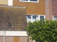 Doorzwin 2238, 1788 KK Julianadorp