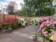 Middelveldstraat 68, 1069 GL Amsterdam