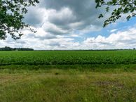 Wildeplaats 35, 9663 TR Nieuwe Pekela