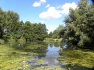 Gaddijk 17, 3205 LA Spijkenisse