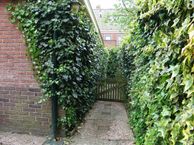 Pastoorstraat 13 a, 1411 SC Naarden