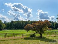 van Borsselenweg 31, 6862 BH Oosterbeek