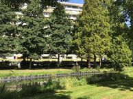 Dokter van Stratenweg 169, 4205 LW Gorinchem