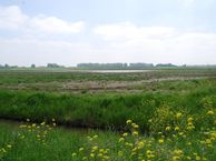 Drogendijk 43, 3205 LH Hekelingen