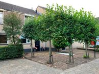 Ida Gerhardtstraat 28, 8264 DW Kampen