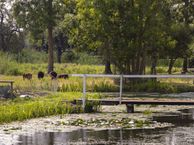 Cabauwsekade 11, 3411 EA Lopik