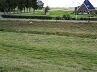 Oudesluizerweg 9, 1766 GL Wieringerwaard