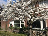 Maarten Gorisstraat 5, 6824 AC Arnhem