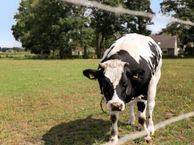 Veneind 4, 5513 NE Wintelre