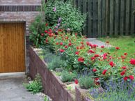 Papierbaan 26, 9672 BH Winschoten