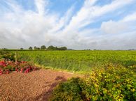 Lyaersmastrjitte 19, 9036 PE Menaam