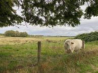 Strijdersdijk 7, 4506 HP Cadzand