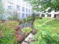 Reint Dijkemastraat 31, 9628 CW Siddeburen