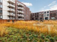 Jongeneelstraat 43, 3513 DC Utrecht