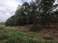 Zaanderweg, 5928 RM Venlo