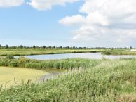 Meerweg 28, 2651 KS Berkel en Rodenrijs