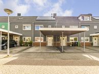 Engels Gras 13, 1991 JW Velserbroek