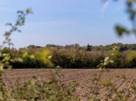 Haverweg 81, 6991 BR Rheden