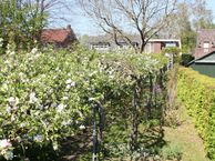 Heuvel 38, 5421 CN Gemert