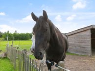 Hoofdweg 74, 9945 PH Wagenborgen