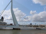 Meeuwenstraat 8 D, 3071 PE Rotterdam