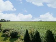 Plataanstraat 49, 4675 AW Sint Philipsland