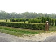 Vloeiweidenweg, 7548 CZ Enschede