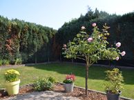 Lage Bongerd 31, 6116 BN Roosteren