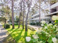 Saxenrodeweg 46, 2116 VB Bentveld