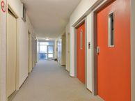 Graan voor Visch 17252, 2132 ZD Hoofddorp