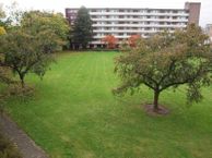 Albert Cuypstraat 266, 5914 XM Venlo