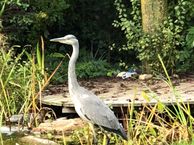 Tacitus 9, 3962 LE Wijk bij Duurstede