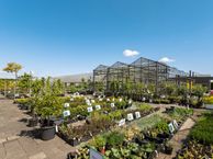 Willibrordusweg 6, 5374 NG Schaijk