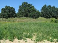 Hoefblad, 6601 HN Wijchen