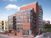 Bloemsingel, 9712 GM Groningen