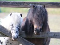 Hazelberg 5, 7244 NJ Barchem