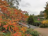 Stationsweg 19 D, 3218 AV Heenvliet