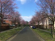 Het Buiting 6, 7232 HD Warnsveld