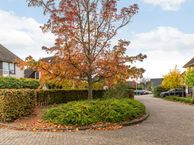 Bothil 7, 3232 HJ Brielle