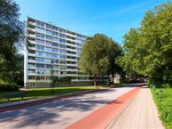 Buizerd 74, 8446 KL Heerenveen