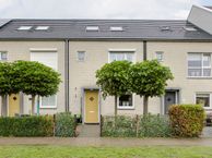 Spinsteen 41, 1967 CX Heemskerk