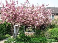 Eline Verestraat 26, 1183 KZ Amstelveen