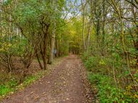 Duinen 3, 3235 CB Rockanje