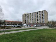 Rietzangerstraat 65, 3815 EB Amersfoort