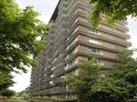 Thomas Jeffersonlaan 353, 2285 AM Rijswijk (ZH)