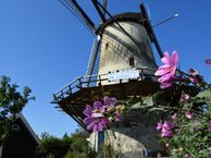 Molenstraat 38, 4693 BK Poortvliet