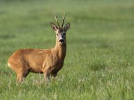 Vuilpanstraat 2, 4529 JS Eede
