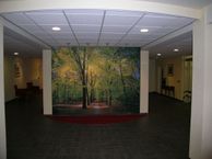 Beukenhorst 82, 3972 HG Driebergen-Rijsenburg