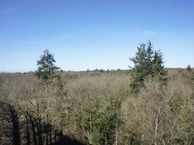 Landschaplaan 137, 7824 BE Emmen