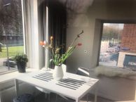 Groenendaal 15 C, 3011 SJ Rotterdam